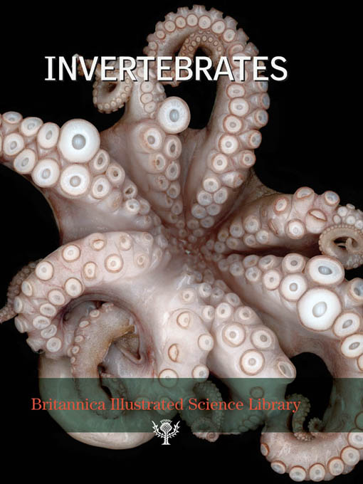 Title details for Britannica Illustrated Science Library: Invertebrates by Sol 90 - Available